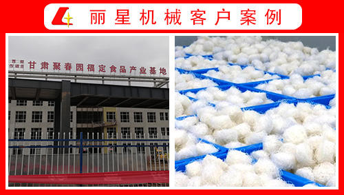 甘肅聚春園引進(jìn)麗星水晶粉絲生產(chǎn)線(xiàn)、酸辣粉加工設備正式投產(chǎn)