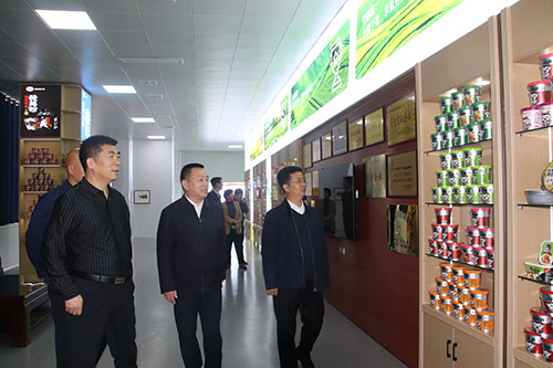 國家、省、市鄉村振興局等**一行蒞臨麗星公司進(jìn)行調研工作