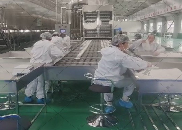 麗星日產(chǎn)10噸的粉絲生產(chǎn)線(xiàn)試機進(jìn)行中