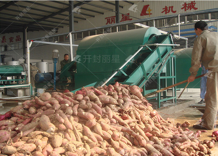 麗星淀粉設備廠(chǎng)家帶您了解薯干加工淀粉需注意哪些？